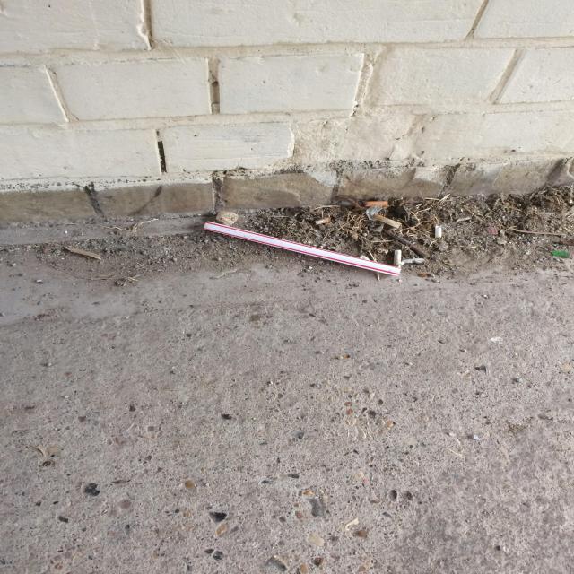 Small pieces of litter beside a wall